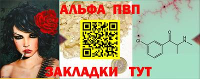 кокс Можга