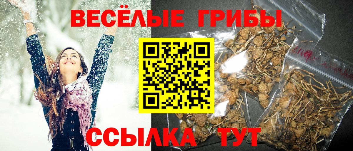 Псилоцибиновые грибы мухоморы Унеча