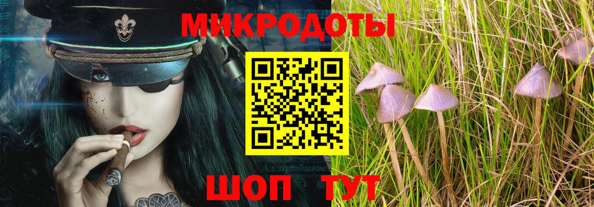Псилоцибиновые грибы Psilocybe  Вход с VPN  Унеча 